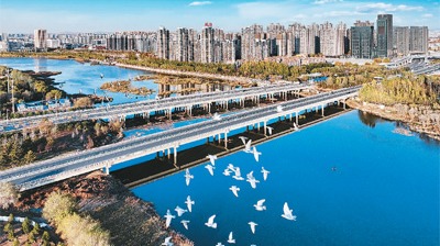 协同发展，京津冀书写精彩答卷