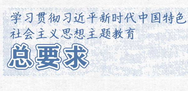 学习卡丨这项重要主题教育如何开展？