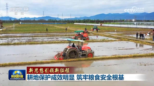 耕地保护成效明显 筑牢粮食安全根基