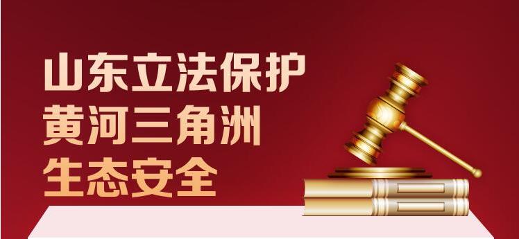 长图丨山东立法保护黄河三角洲生态安全