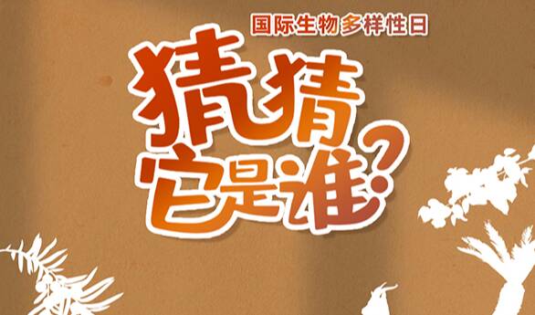 “国际生物多样性日”特别策划 | 猜猜它是谁？