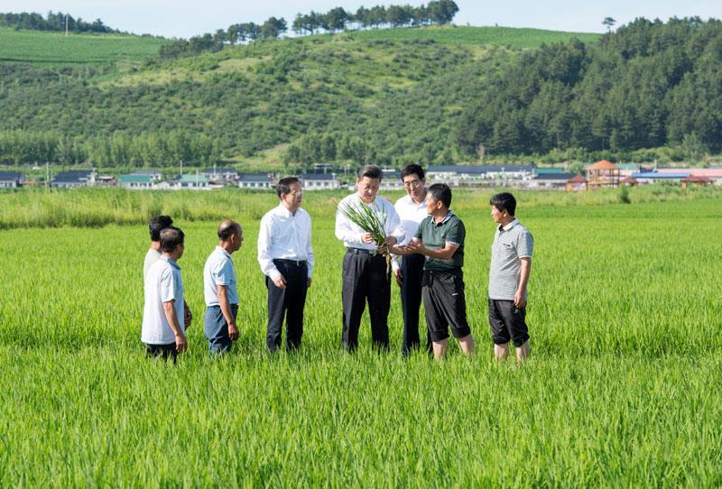 “我们就要立这个志向”