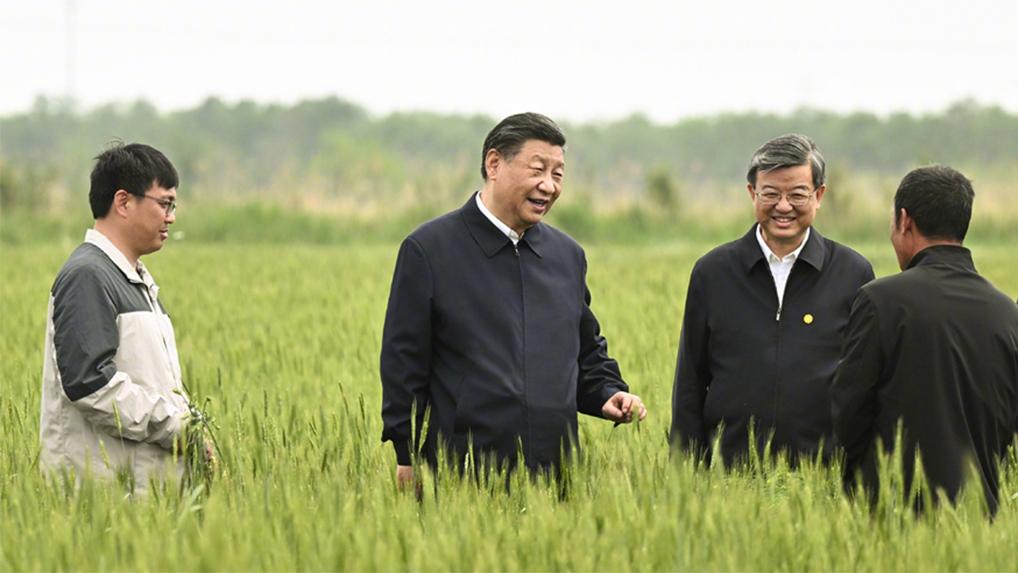 习近平在沧州市考察调研