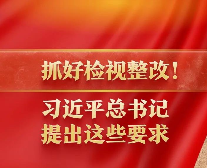 抓好检视整改！习近平总书记提出这些要求