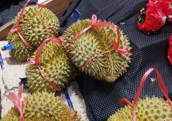 榴莲批发价跌至20多元1斤，能否降到以前的9.9元？