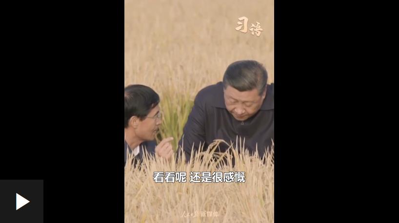 习语｜“中国人要把饭碗端在自己手里”