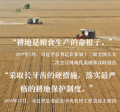 习近平总书记关切事｜藏粮于地、藏粮于技，筑牢丰收之基