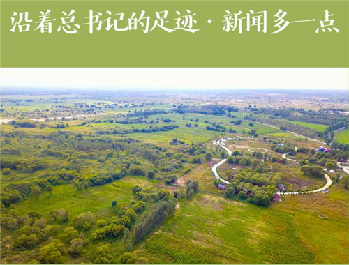 沿着总书记的足迹·新闻多一点｜“三北”工程，绵亘万里的绿色长城