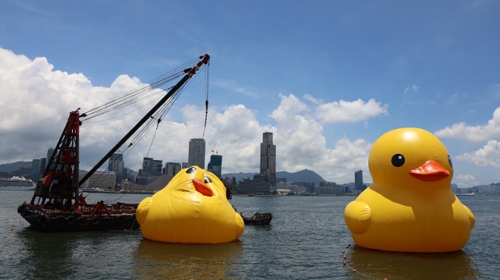 “小黄鸭”完成修复 重新于香港维多利亚港展出