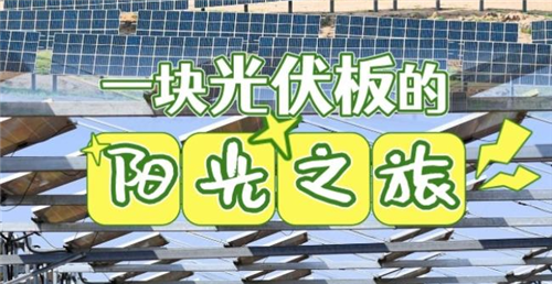 习近平总书记关切事｜书写多彩的生态答卷——在世界环境日到来之际倾听人与自然和谐共生的故事