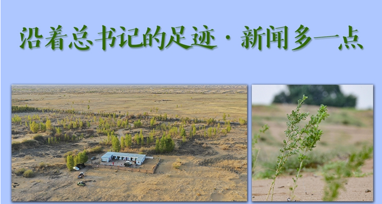 沿着总书记的足迹·新闻多一点丨什么是荒漠化