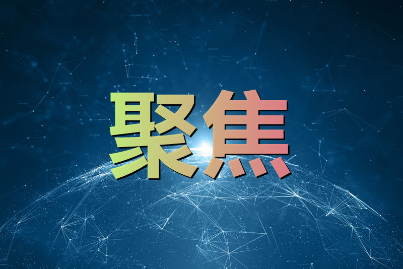 聚焦幼儿“三性” 创设互动环境