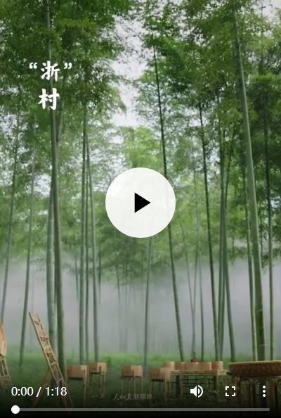 用电影海报打开千万工程20年巨变