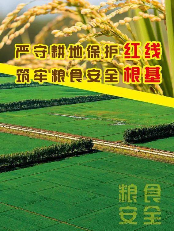 坚决守住耕地“红线” ！公安部重拳打击非法占用耕地犯罪