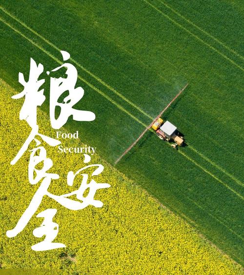 粮食安全保障法草案提请审议 加强耕地保护牢守耕地红线
