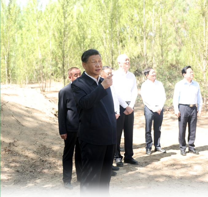 指挥防沙治沙，习近平提的这四个字意味深长！