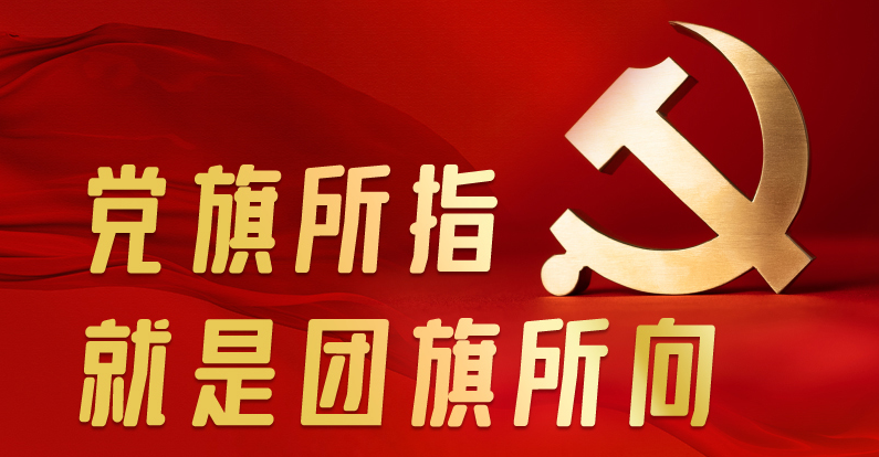 联播+｜党旗所指就是团旗所向