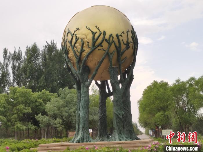 走进中国第七大沙漠：片片绿色染沙海