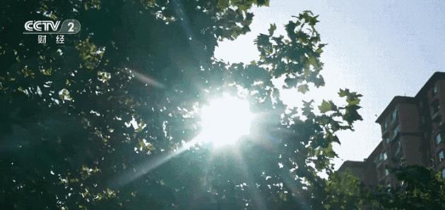 今年盛夏，全国天气如何？最新预测！