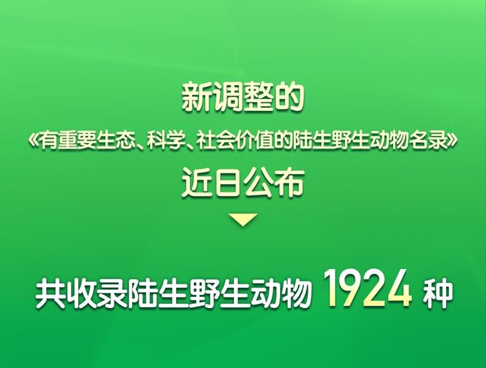 叶麂、寿带等野生动物列入新“三有”名录 野猪等调出
