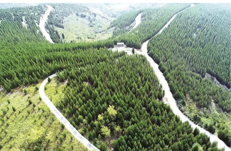 荒山铺绿装 废地成资源 大国重器建设者为矿山“疗伤”
