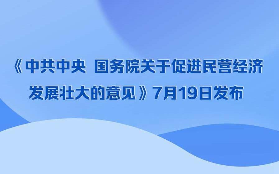 一图速览《中共中央 国务院关于促进民营经济发展壮大的意见》