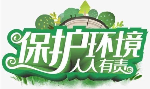 生态环境部：对造假行为决不放过