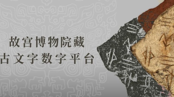 故宫博物院公开首批300余件甲骨高清影像
