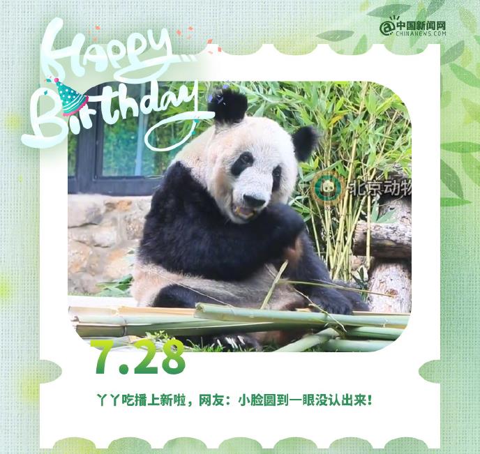 大熊猫“丫丫”23岁生日快乐