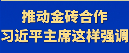 推动金砖合作，习近平主席这样强调