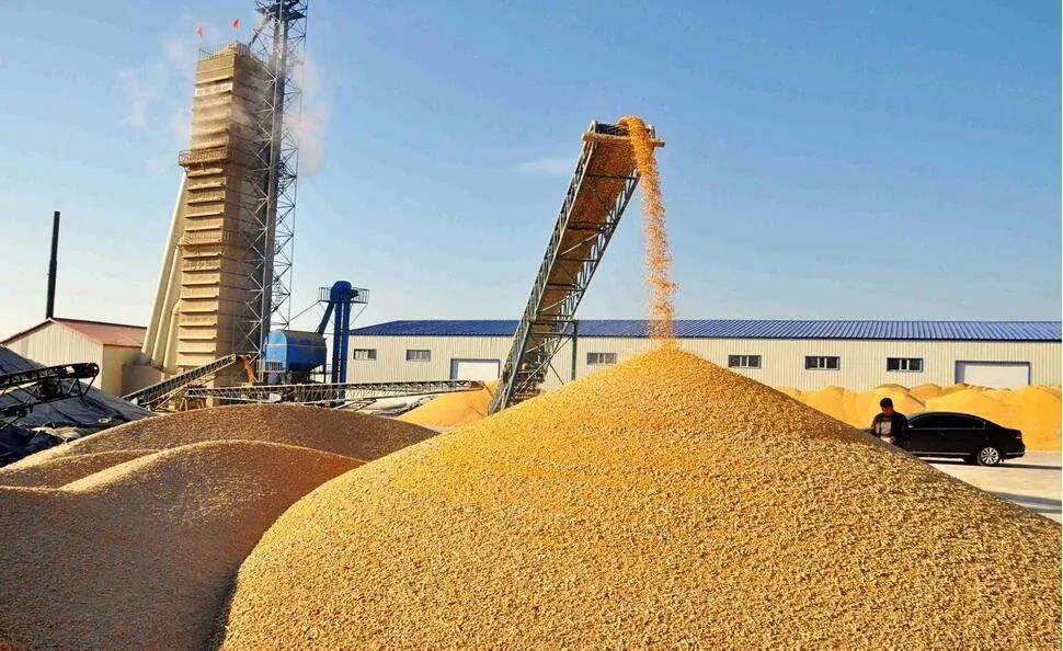 国家粮食和物资储备局：加大储备设施建设力度