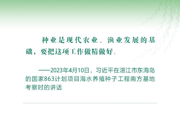 奋力耕耘正当时 习近平指引乡村振兴阔步前行