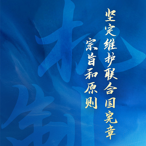 跟着习主席看世界｜坚持遵守联合国宪章宗旨和原则