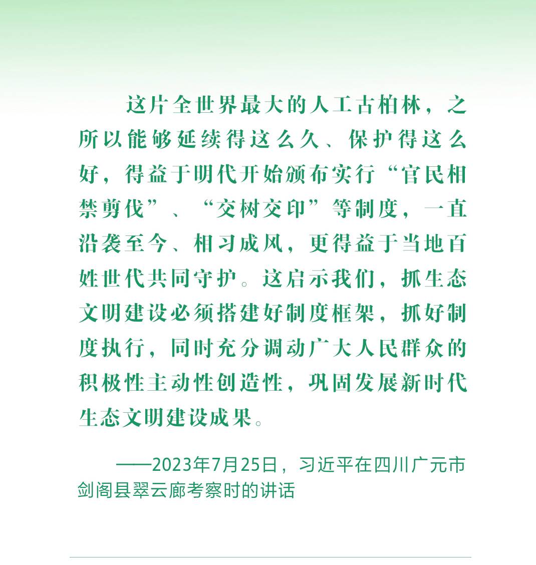 绿水青山映初心 总书记心系“绿色中国”