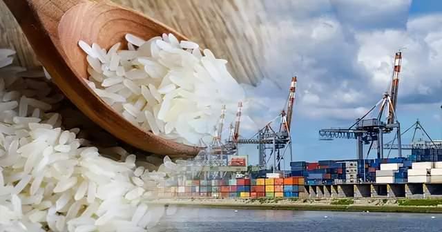 国际米价高企对我国影响有限