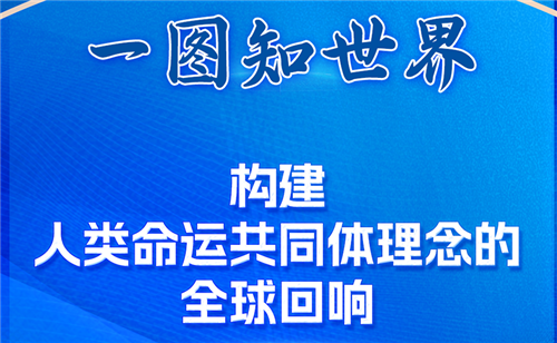 一图知世界丨构建人类命运共同体理念的全球回响