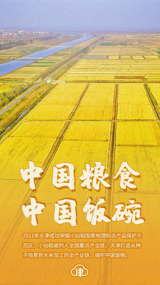 五组数据看“中国饭碗”之稳