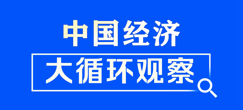 中国经济大循环观察