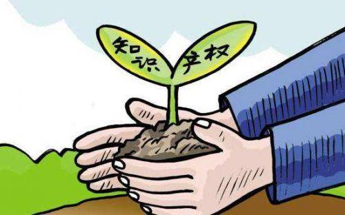 中国已基本形成便民利民知识产权公共服务体系