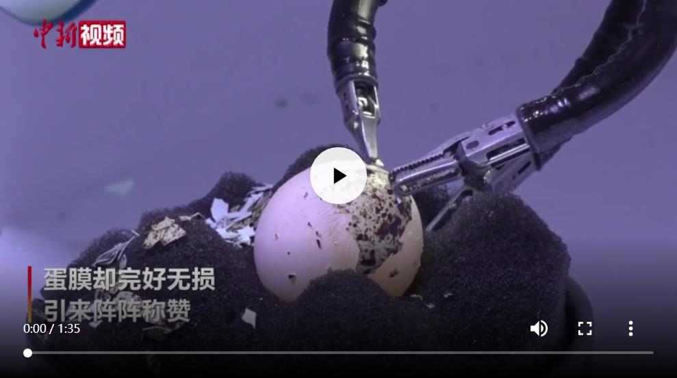 “徒手”剥生鹌鹑蛋 单孔手术机器人亮相服贸会