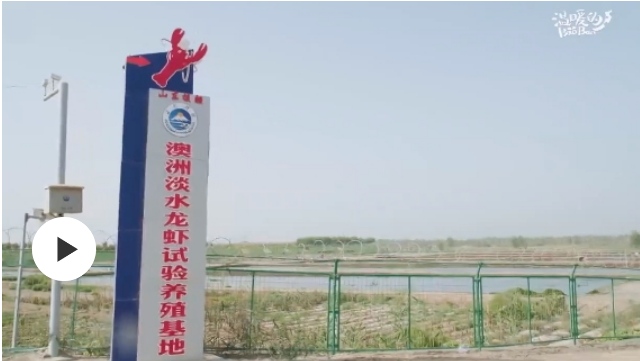 这样一群人，跨越山海去援疆——“东虾西移”入疆记