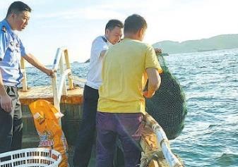 生态环境损害惩罚性赔偿：好制度如何才能稳妥落地？