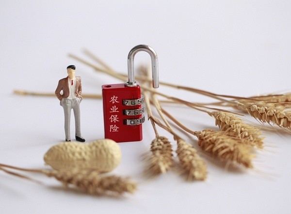 粮食安全保障法草案进入二审 明确给予政策性保险支持