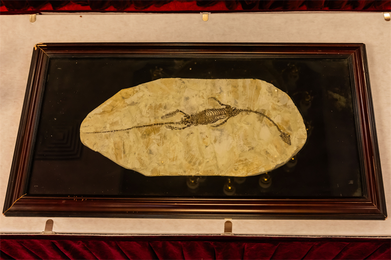 文物回家！澳大利亚向我国返还4件流失文物艺术品与1件古生物化石