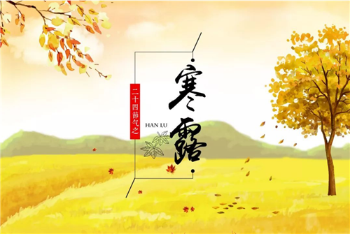 节令之美·寒露丨8日21时16分寒露：兰衰花始白，荷破叶犹青