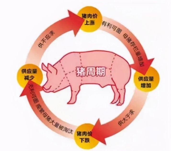 “猪周期”有了新变化