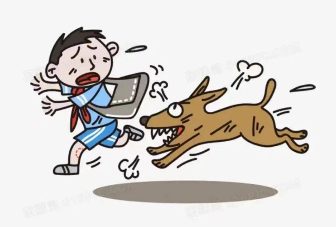 用法治“安全绳”防治恶犬伤人