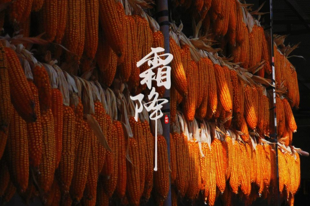 节令之美·霜降丨24日0时21分霜降：红枫似烟霞，胜过春花开