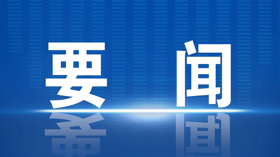 王毅在巴以问题高级别会议后向媒体发表谈话