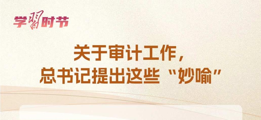 学习时节｜关于审计工作，总书记提出这些“妙喻”
